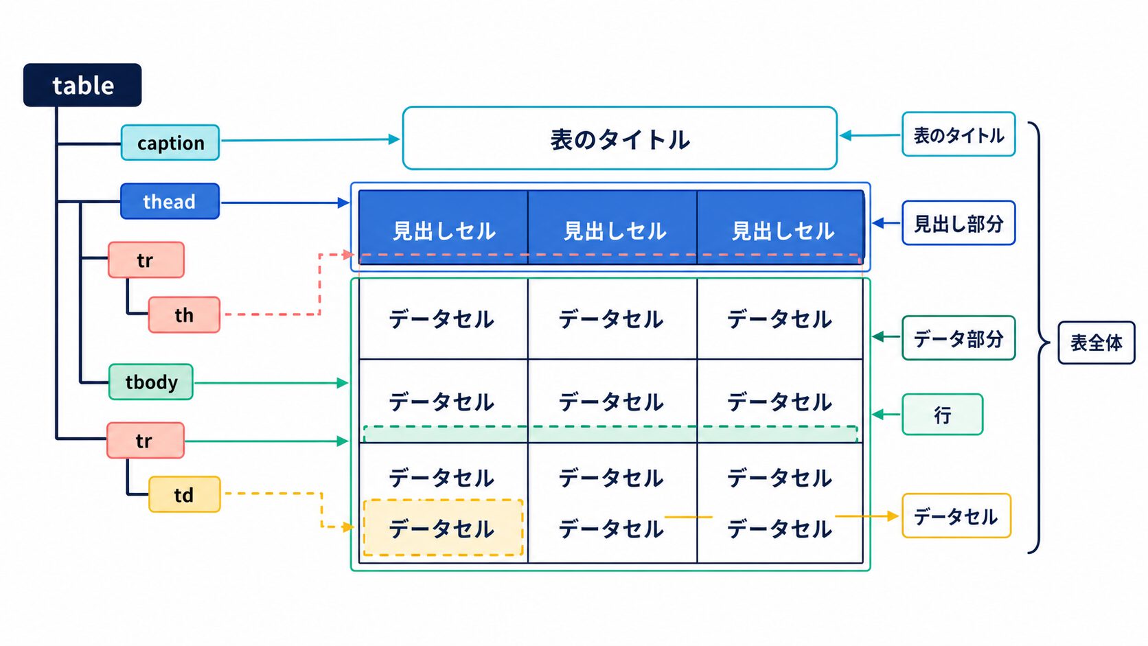 table、caption、thead、tbody、tr、th、tdの位置関係を示した構造図