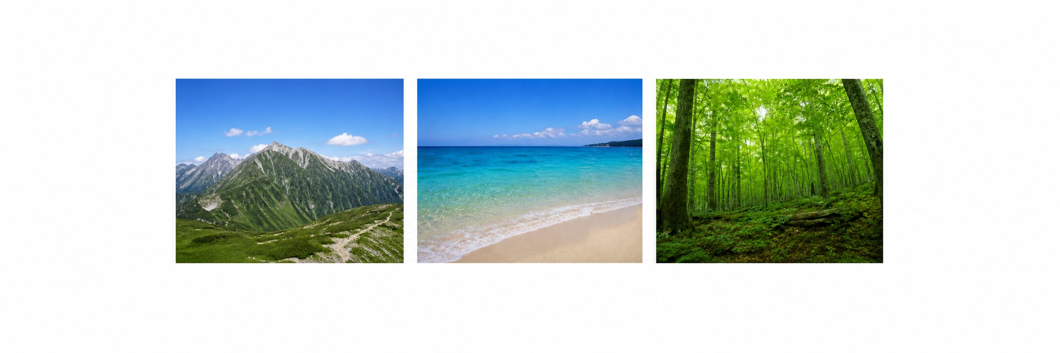 横並びにした山、海、森の3枚の画像を中央寄せし余白を付けた表示