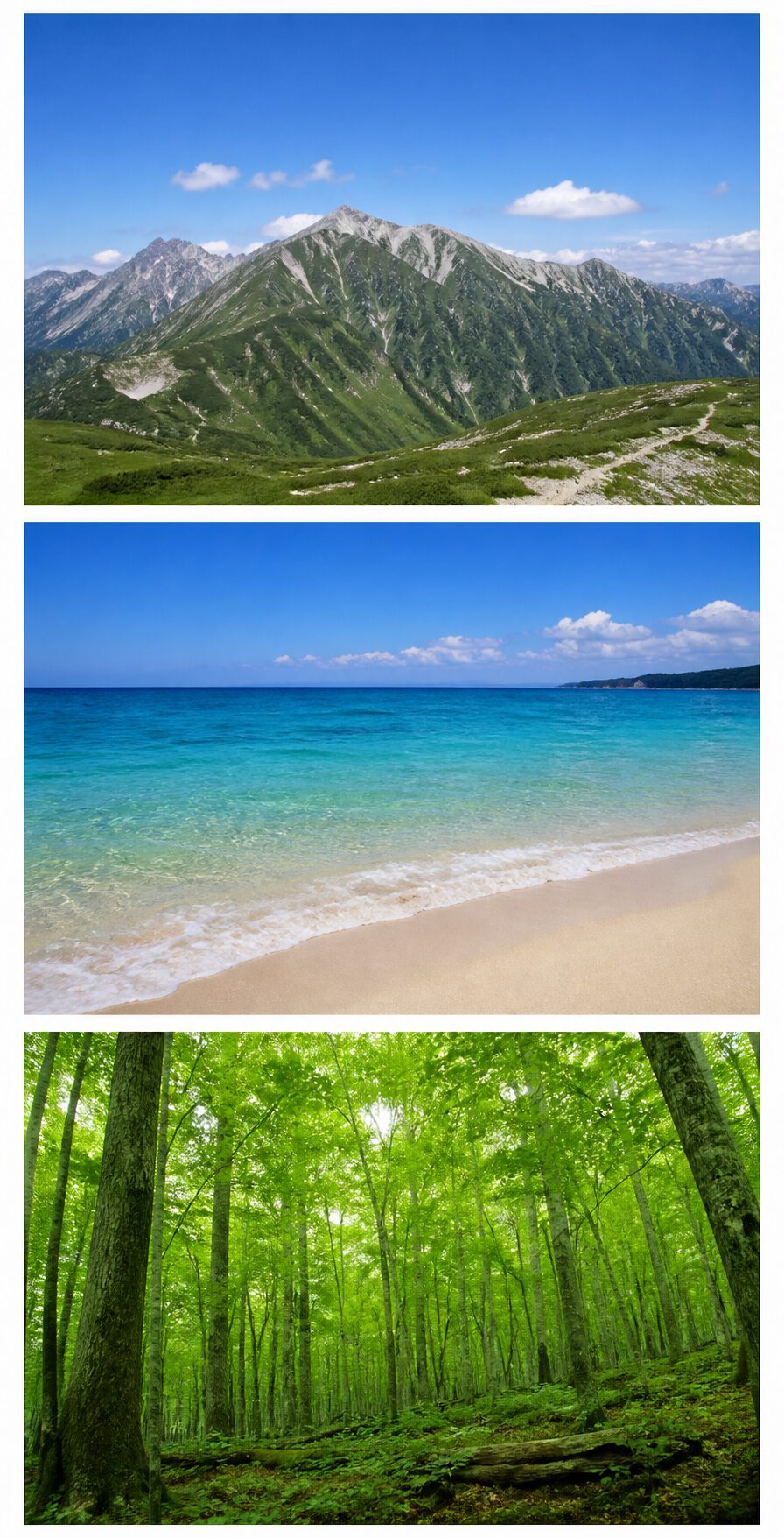 CSSを指定する前に山、海、森の3枚の画像が縦に並んでいる表示